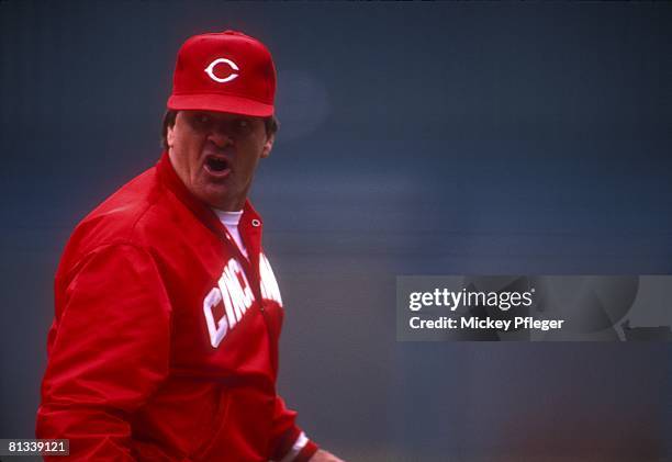 Red Roses Manager 181,017 Baseball Manager Stock Photos, High-Res Pictures, and Images ...