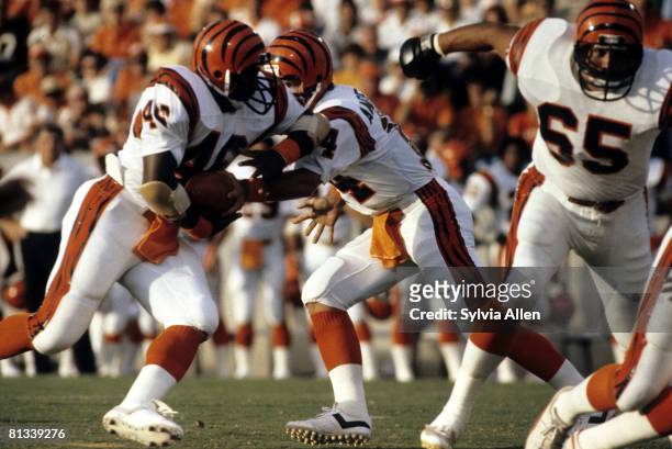 Cincinnati Bengals running back Pete Johnson carries the football during the Bengals 24-17 preseason victory over the Tampa Bay Buccaneers on August...