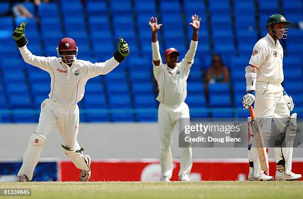 Michael Hussey of Australia stands his ground as Denesh Ramdin of West Indies appeals for a catch during day four of the Second Test match between...
