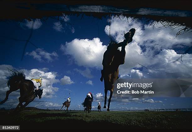 Horse Racing: Irish Grand National, Miscellaneous action during steeplechase handicap at Fairyhouse Racecourse, Ratoath, IRL 3/16/2002