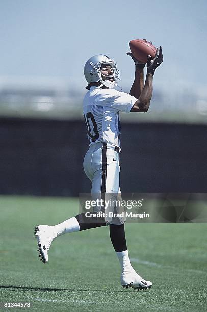 Football: Oakland Raiders Jerry Rice in action during mini camp, Oakland, CA 6/16/2001