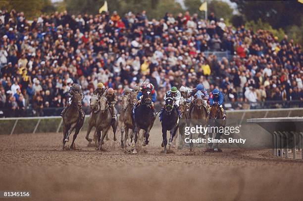 Horse Racing: Breeders Cup Classic, War Emblem, Medaglia D'Oro, and Jose Santos in action aboard Volponi at Arlington Park, Arlington Heights, IL