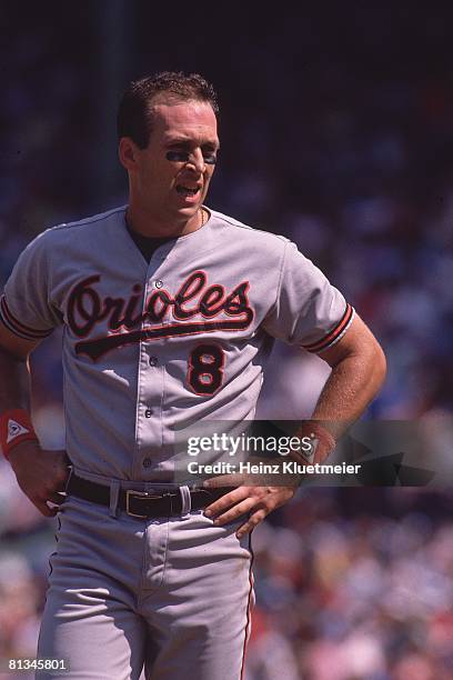 Cal Ripken Jr. Model 442 R Cal Ripken Jr Stock Photos, High-Res Pictures, and Images - Getty ...