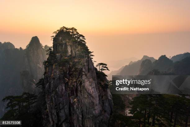 huangshan with sea of clouds, anhui province, china - huangshan bildbanksfoton och bilder