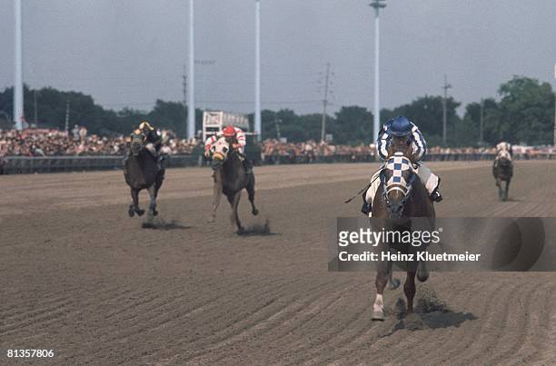 Horse Racing: Arlington Invitational, Ron Turcotte in action aboard Secretariat at Arlington Park, Arlington Heights, IL 6/27/1973