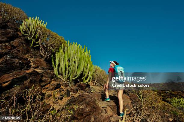 escalando as montanhas - tenerife - fotografias e filmes do acervo