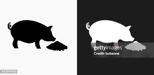 feeding pig icon on black and white vector backgrounds - feeding stock illustrations