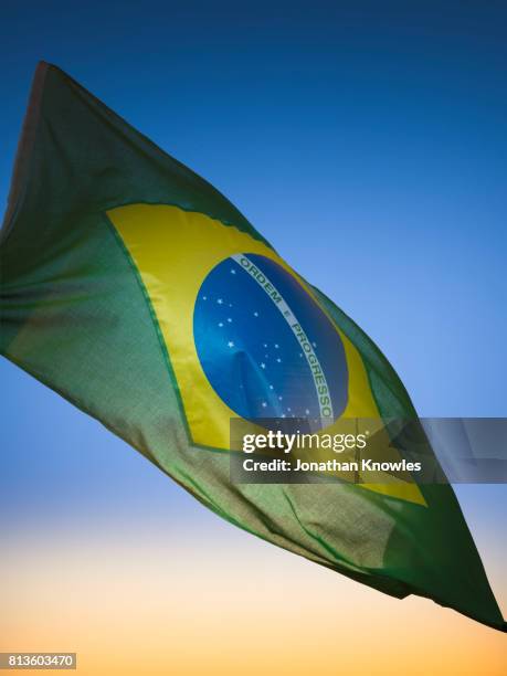 brazilian flag - brazilian flag foto e immagini stock