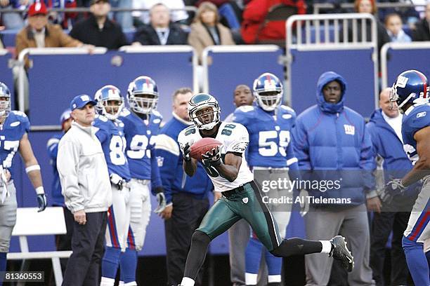 Football: Philadelphia Eagles Reggie Brown in action, making catch vs New York Giants, East Rutherford, NJ