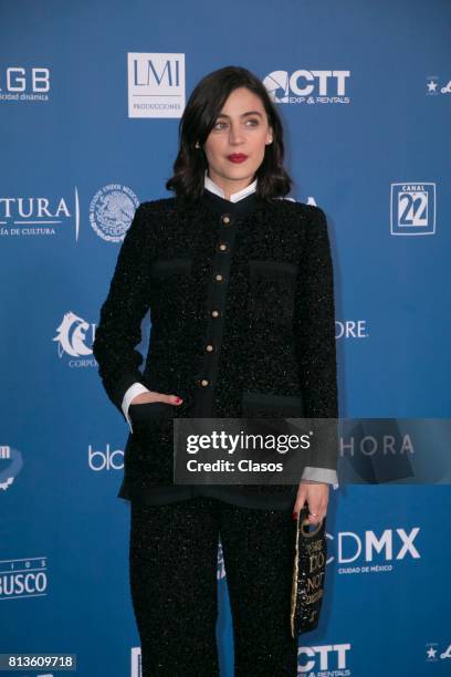 Ilse Salas poses during during the 59th Ariel Awards Red Carpet at Palacio de Bellas Artes on July 11, 2017 in Mexico City, Mexico.