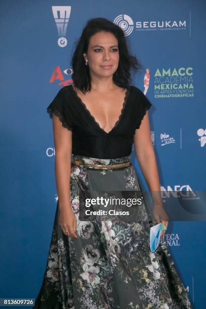 Giovanna Zacarias poses during during the 59th Ariel Awards Red Carpet at Palacio de Bellas Artes on July 11, 2017 in Mexico City, Mexico.