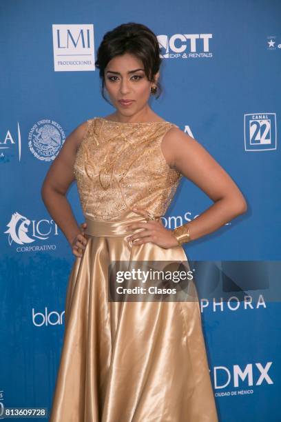 Adriana Paz poses during during the 59th Ariel Awards Red Carpet at Palacio de Bellas Artes on July 11, 2017 in Mexico City, Mexico.