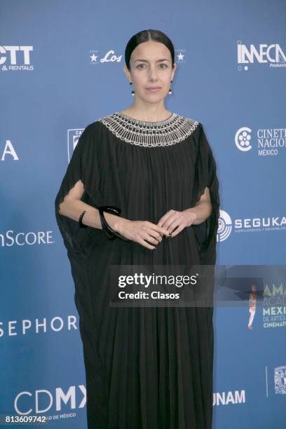 Ceci Suarez poses during during the 59th Ariel Awards Red Carpet at Palacio de Bellas Artes on July 11, 2017 in Mexico City, Mexico.