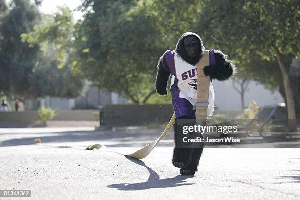 430 Basketball Gorilla Stock Photos, High-Res Pictures, and Images