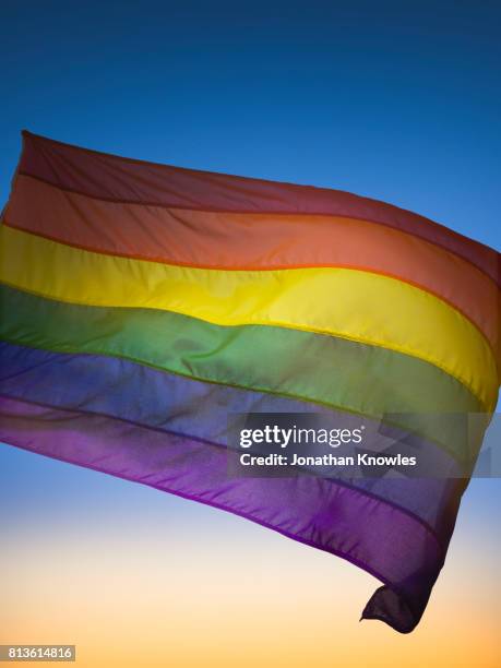 rainbow flag - rainbow flag stock pictures, royalty-free photos & images