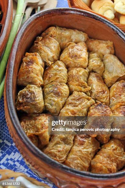 sarma - stuffed cabbage rolls - serbia stock pictures, royalty-free photos & images