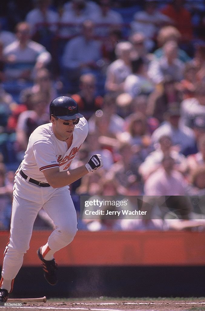 Cal Ripken Jr. Model Baltimore Orioles Cal Ripken Jr, in action vs Detroit Tigers,... News ...