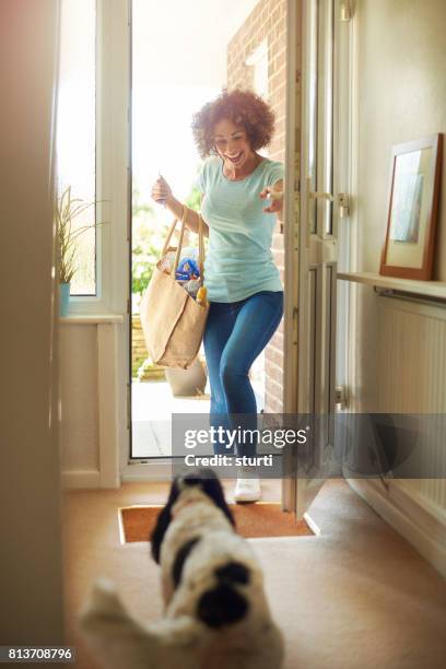 welcome home - dog greeting stock pictures, royalty-free photos & images