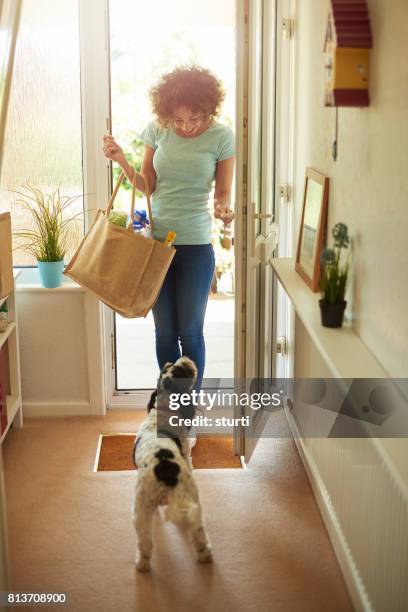 woman's best friend - opening front door stock pictures, royalty-free photos & images