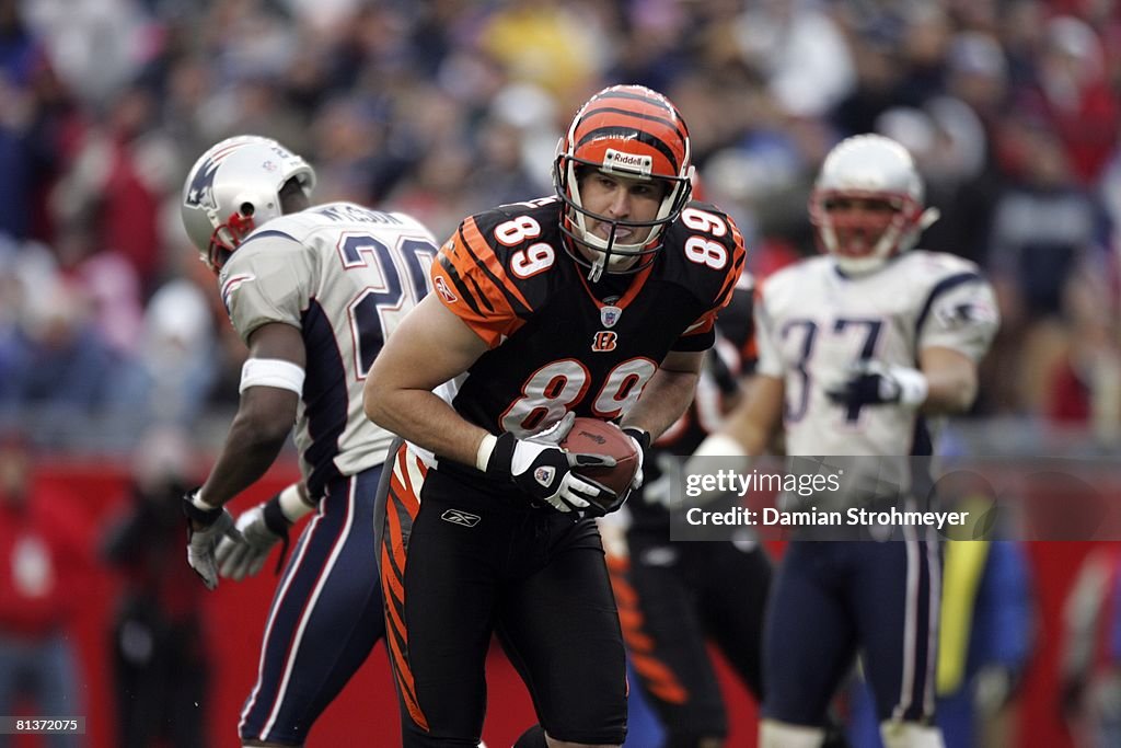 Cincinnati Bengals Matt Schobel in action vs New England Patriots