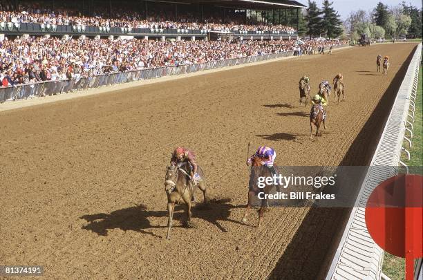 Horse Racing: Blue Grass Stakes, Shane Sellers in action aboard The Cliff's Edge vs Lion Heart , View of fans in stadium, Keeneland grandstand,...