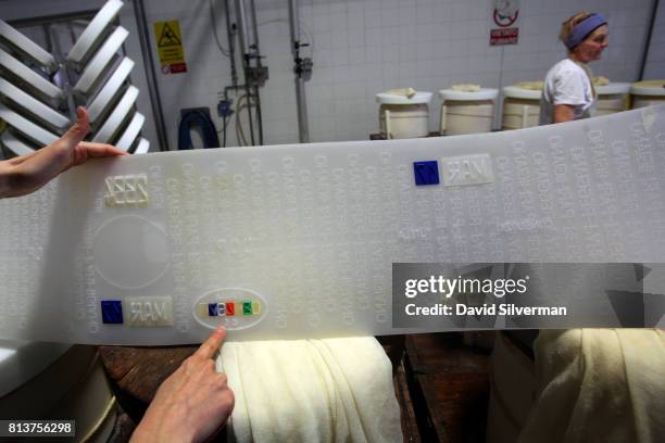 Stencilling bands with pre-punched dots bearing the inscription PARMIGIANO-REGGIANO, the acronym DOP and the inscription CONSORZIO TUTELA, as well as...