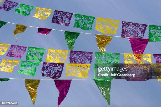 Banners at the Mardi Gras Parade in Flamingo Park.