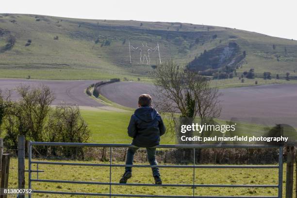 boy looking at long man of wilmington - silueta humana de wilmington fotografías e imágenes de stock