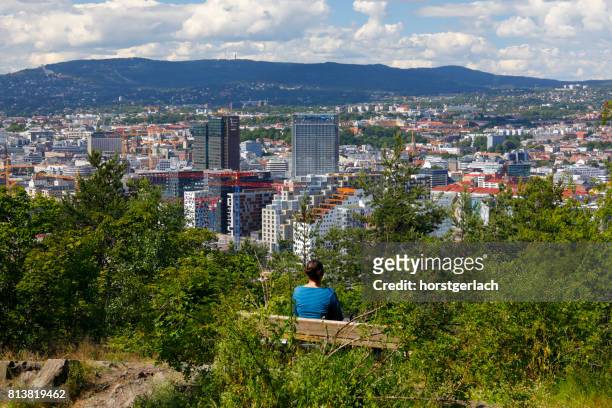 view from ekeberg park to dowtown oslo, norway - oslo people stock pictures, royalty-free photos & images