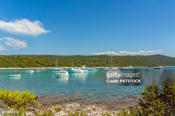 yachts in sakarun bay - sakarun bildbanksfoton och bilder