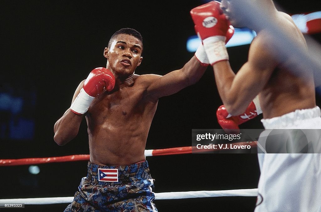 IBF Welterweight Title Felix Trinidad In Action Vs Rodney Moore Las ibf-welterweight-title-felix-trinidad-in-action-vs-rodney-moore-las