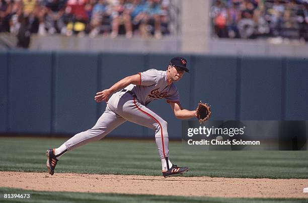 Cal Ripken Corner 442 R Cal Ripken Jr Stock Photos, High-Res Pictures, and Images - Getty ...