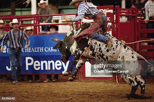 Mosquito Rodeo 25 Rodeo Durango Stock Photos, High-Res Pictures, and Images - Getty Images