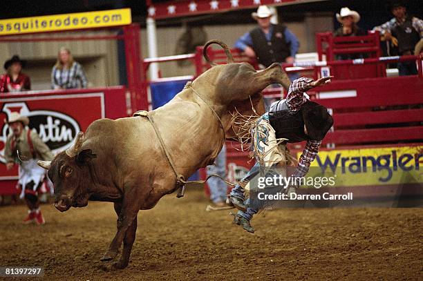 Mosquito Rodeo 207 Mesquite Arena Stock Photos, High-Res Pictures, and Images - Getty ...