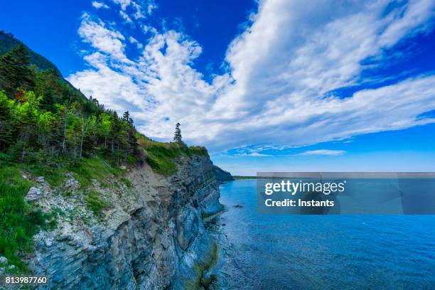 cap-bon-ami (traduz-se bom amigo cabo em inglês) em forillon, reserva um dos 42 parques de nacionais do canadá e do parque, situado perto de gaspé, quebec oriental. - gaspe peninsula - fotografias e filmes do acervo