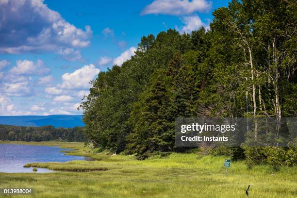 vista de playa penouille de forillon, uno de los 42 parques nacionales y reservas del parque, situadas cerca de gaspé, quebec del este de canadá. - forillon national park fotografías e imágenes de stock