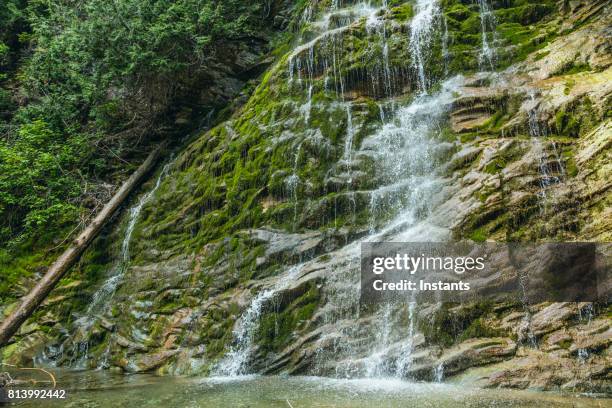 cascada de 17 metros (55,77 pies), llamado canal inclinado de la, en forillon, uno de los parques nacionales famosos de canadá, situado cerca de gaspe quebec. - forillon national park fotografías e imágenes de stock