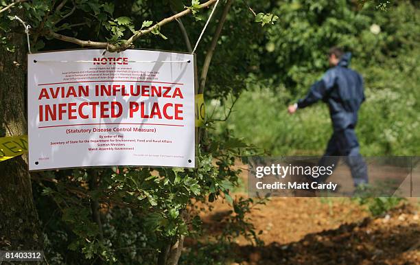 Man in a protective body suit walks past a sign warning of a outbreak of the H7 strain of bird flu, at Eastwood Farm, near Banbury on June 4, 2008 in...