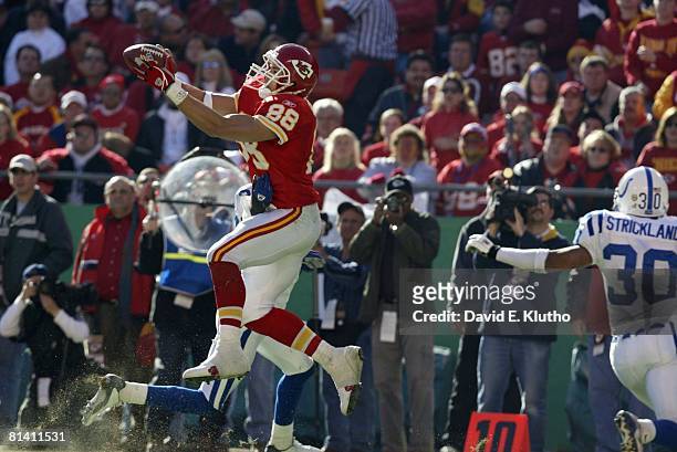 Football: AFC Playoffs, Kansas City Chiefs Tony Gonzalez in action, making catch vs Indianapolis Colts, Kansas City, MO 1/11/2004
