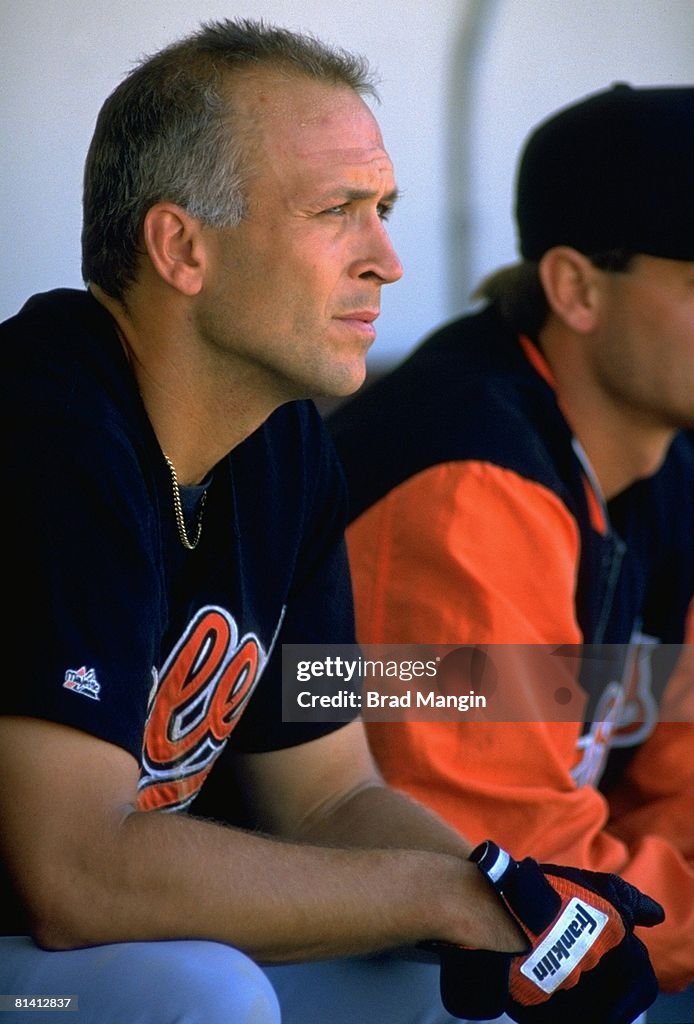Cal Ripken Jr. Model Closeup of Baltimore Orioles Cal Ripken Jr, in dugout during game vs ...
