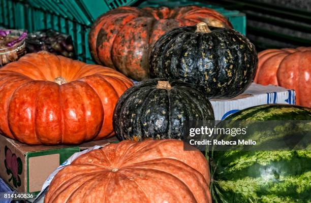 pumpkins on display - kabocha stock pictures, royalty-free photos & images
