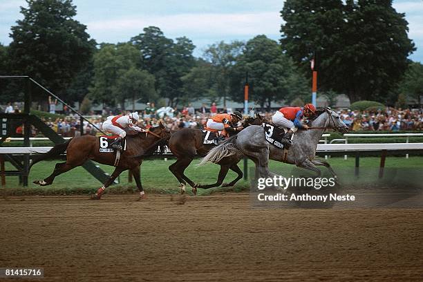 Horse Racing: Travers Stakes, Jeffrey Fell in action aboard Runaway Groom at Saratoga Race Course, Saratoga Springs, NY 8/21/1982