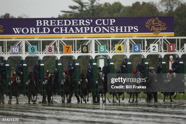 2007 Breeders Cup Grey Goose Juvenille Fillies 2007 Breeders Cup Grey Goose Juvenille Fillies