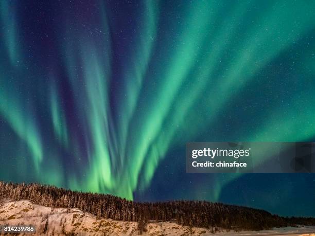 aurora boreal, território de yukon, canadá - rio yukon - fotografias e filmes do acervo