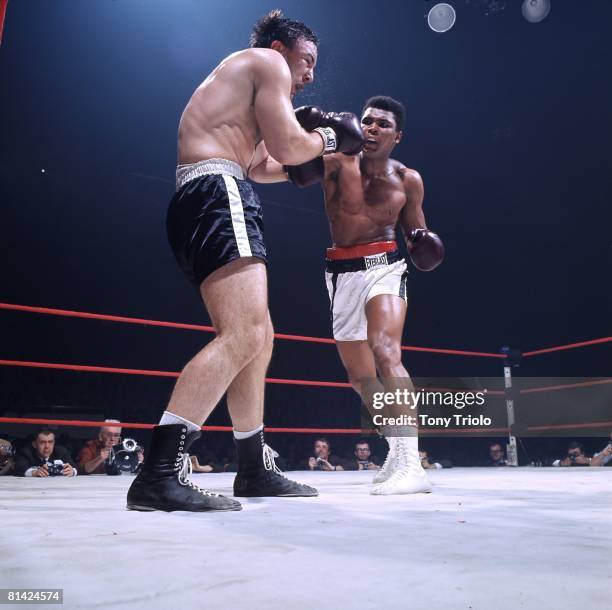 Boxing: World Heavyweight Title, Muhammad Ali in action, throwing punch vs George Chuvalo at Maple Leaf Gardens, Cover, Toronto, CAN 3/29/1966