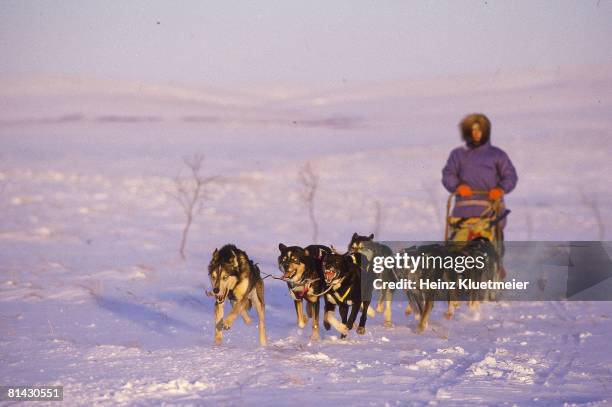Libby Riddles Sled Libby Riddles Photos and Premium High Res Pictures - Getty Images