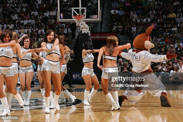 Basketball: NBA Playoffs, San Antonio Spurs Dance Team cheerleaders on court with Coyote mascot during Game 1 vs Sacramento Kings, San Antonio, TX...