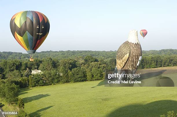 Ballooning: Quick Chek New Jersey Festival, Scenic view of hot air balloons during 24th annual festival, Readington, NJ 7/29/2006