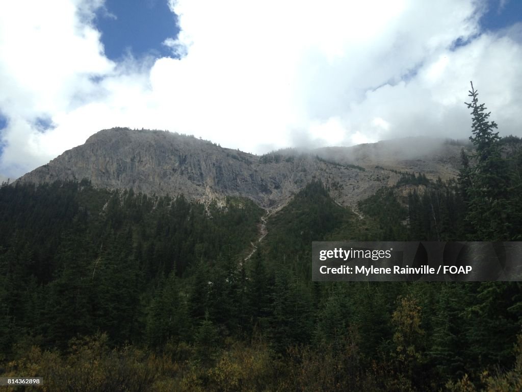 Scenic view of mountains and trees