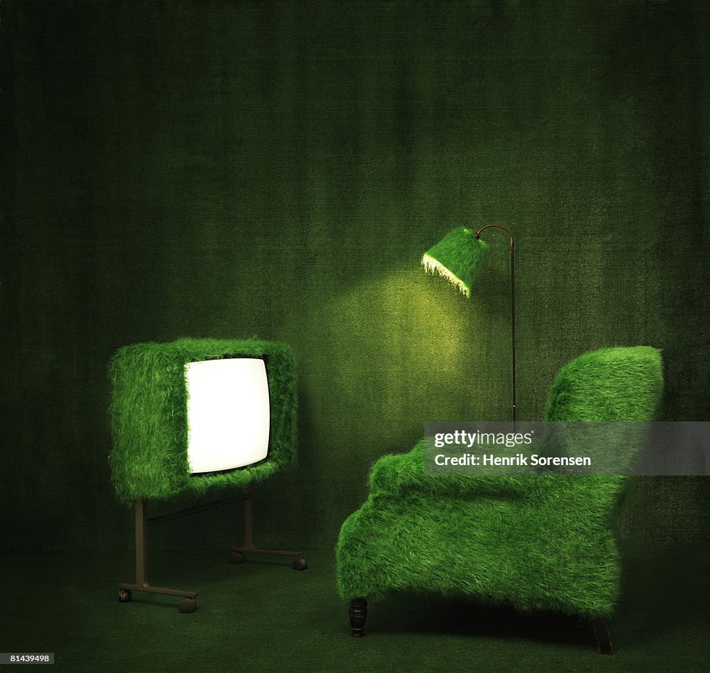 Green room with a turfed television.